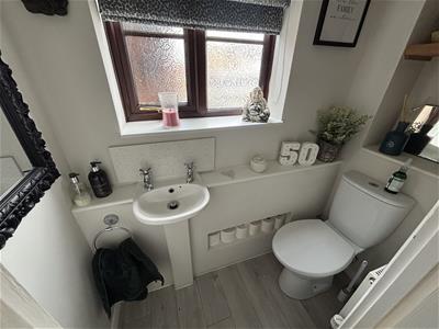 Picture 15